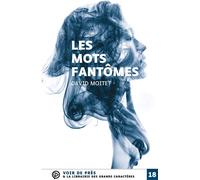 Les mots fantomes Édition en gros caractères - David Moitet - Voir De Pres - broché - Roman