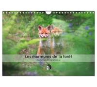 Les murmures de la forêt - Regards d'animaux (Calendrier mural 2026 DIN A4 vertical), CALVENDO calendrier mensuel: Un calendrier fascinant qui révèle, ... saisis dans l'intimité de leurs regards.