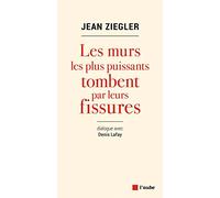 Les murs les plus puissants tombent par leurs fissures: Dialogue avec Denis Lafay