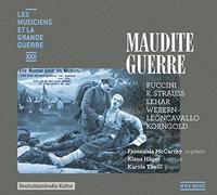 Les Musiciens et la Grande Guerre Vol.22 : Maudite Guerre