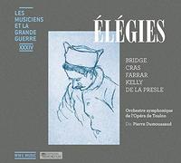 Les Musiciens et la Grande Guerre Vol.34 : Élégies