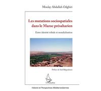 Les mutations sociospatiales dans le Maroc présaharien Entre identité tribale et mondialisation - Moulay Abdallah Odghiri - L'harmattan - broché - Essai