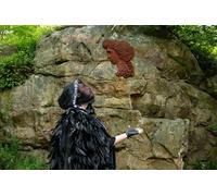 Les mystères de la Forêt de Fontainebleau : visite immersive