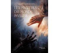 Les mystères du monde invisible - Joël Alino Djanda Ketchateu - Baudelaire - broché - Essai