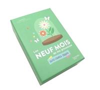 Les Neuf Mois De Ma Grossesse Avec Cartes Étapes