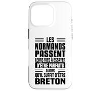 Les Normands Vie à Essayer d’être Parfaits Humour Breton Coque pour iPhone 16 Pro