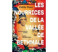 Les nourrices de la vallée de Bethmale Autant en emporte le temps - Odile Pons - L'harmattan - broché - Essai