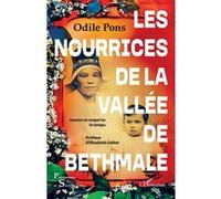 Les nourrices de la vallée de Bethmale Odile Pons (Auteur), Elisabeth Caillet (Préface)