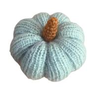 Les Nouveau-nés Tricot Posant Des Accessoires Pour La Photographie En Tricot Doux Pose Des Accessoires Photo Pour Bébé Premières Photos