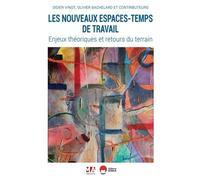 Les Nouveaux Espaces-Temps De Travail - Enjeux Théoriques Et Retours Du Terrain