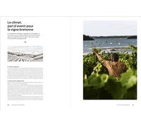 Les nouveaux vignerons bretons