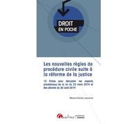 Les nouvelles règles de procédure civile suite à la réforme de la justice: 13 fiches pour décrypter les aspects procéduraux de la loi du 23 mars 2019 et des décrets du 30 août 2019