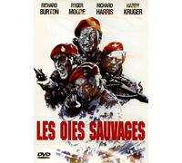 LES OIES SAUVAGES