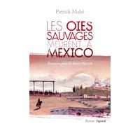 Les oies sauvages meurent à Mexico Requiem pour les Saint-Patrick - Patrick Mahé - Fayard - broché - Roman