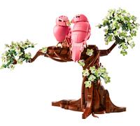 Les oiseaux amoureux