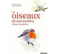 Les oiseaux de nos jardins & leur vie secrète Antoine Isambert (Auteur), Sandra Lefrançois (Illustration)