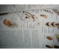 Les oiseaux d'Europe, d'Afrique du Nord et du Moyen-Orient