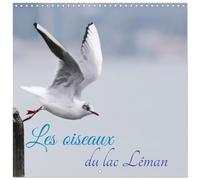 Les oiseaux du lac Léman Calendrier mural carré 2026 30 x 60 cm (ouvert)) Calendrier double avec une page pour vos prises de notes