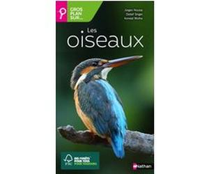 Les oiseaux Jürgen Nicolai (Auteur), Detlef Singer (Auteur), Konrad Wothe (Auteur)