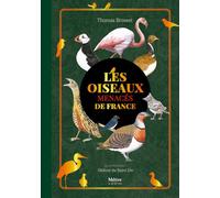 Les oiseaux menacés de France