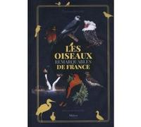 Les oiseaux remarquables de France Thomas Brosset (Auteur), Hélène De Saint Do (Illustration)