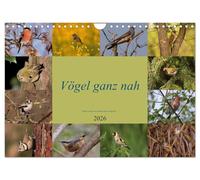 Les oiseaux tout près (Calendrier mural 2026 DIN A4 horizontal), CALVENDO calendrier mensuel