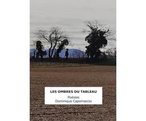 Les ombres du tableau