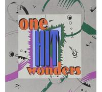 Les "one hit wonders" (merveilles à un coup)