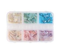 Les Ongles De Coquille Naturels Brillent Des Pièces 6 Couleurs Assorties Longue Durée Conception Chatoyante