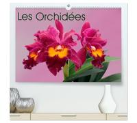 Les Orchidées (Calendrier mural 2026 DIN A2 vertical) calendrier de bureau: Les orchidées exotiques