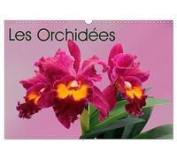 Les Orchidées (Calendrier mural 2027 DIN A3 vertical), CALVENDO calendrier mensuel: Les orchidées exotiques