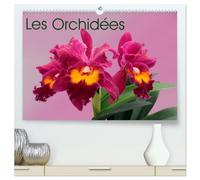 Les Orchidées (Calendrier mural haut de gamme 2027 DIN A2 vertical), CALVENDO calendrier mensuel: Les orchidées exotiques