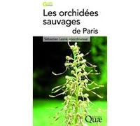 Les orchidées sauvages de paris