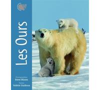 Les Ours - Valérie Guidoux - La Martiniere Jeunesse - cartonné - Document jeunesse