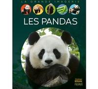 Les pandas Stéphanie Redoulès (Auteur)