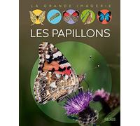 Les papillons