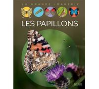 Les papillons