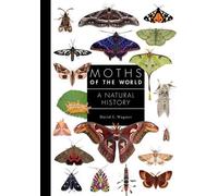 Les papillons de nuit du monde