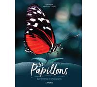 Les Papillons: Ephémères et chatoyants