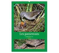 Les passereaux à l'orée de la vie (Calendrier mural 2026 DIN A2 horizontal), CALVENDO calendrier mensuel: Images de la naissance des passereaux