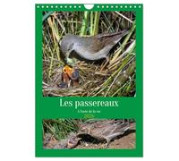 Les passereaux à l'orée de la vie (Calendrier mural 2026 DIN A4 vertical), CALVENDO calendrier mensuel