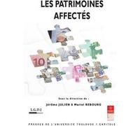 Les patrimoines affectés Muriel Rebourg (Directeur éditorial), Jérôme Julien (Directeur éditorial), Institut de droit privé (Edité par), rebourg m. Julien j. (Auteur)