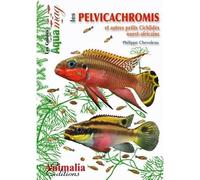 Les pelvicachromis et autres petits cichlidés ouest-africains - pelvicachromis, anomalochromis, chromidotilapia, congochromis, enigmatochromis & nanochromis Et autres petits cichlidés ouest-africains