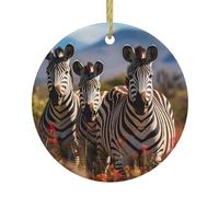 Les pendentifs ronds en céramique de Noël MJHKXLJ zèbres sur l'Afrique du Sud sont lisses et délicats pour la décoration de vacances, de fête, de danse et de vitrine