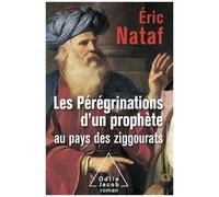 Les Pérégrinations D'un Prophète Au Pays Des Ziggourats