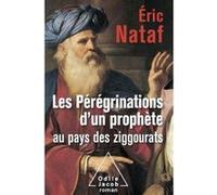 Les Pérégrinations d'un prophète au pays des ziggourats