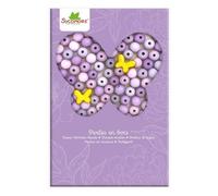 Les perles - boite de perles en bois - papillon