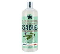 Shampooing et Conditionneur 2 en 1 Saule 700ml - Idéal pour cuir chevelu à pellicules - Les Petits Bains de Provence - Pour des Cheveux Doux et Parfumés