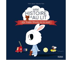 Les petits bruits de la nuit - Didier Zanon - Fleurus - relié - Album éveil dès la naissance