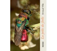 Les petits des forêts - Arnaud Ville - Rouergue - broché - Beau livre